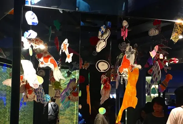 すみだ水族館の写真・動画_image_671718