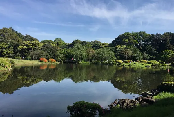 新宿御苑の写真・動画_image_671723