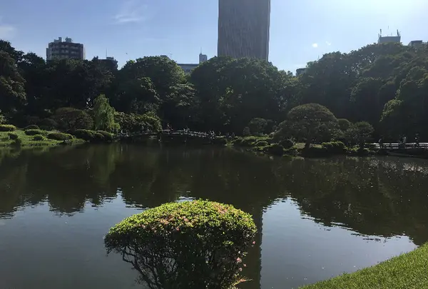 新宿御苑の写真・動画_image_671724