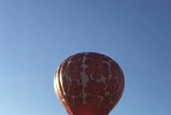 佐賀インターナショナルバルーンフェスタの写真・動画_image_671745