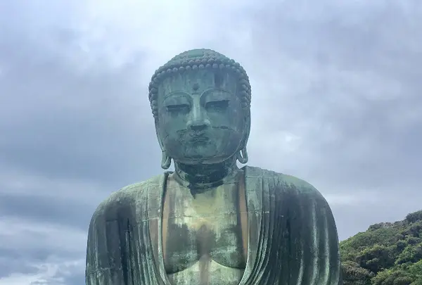 鎌倉大仏（高徳院）の写真・動画_image_671768