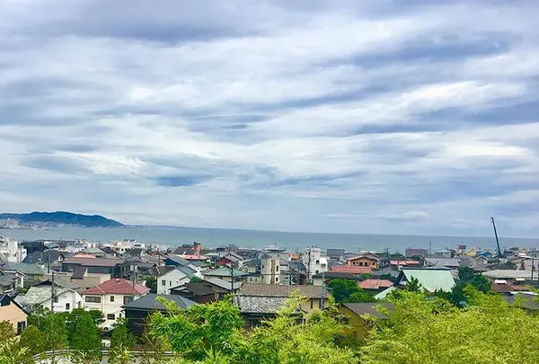 長谷寺の写真・動画_image_671773