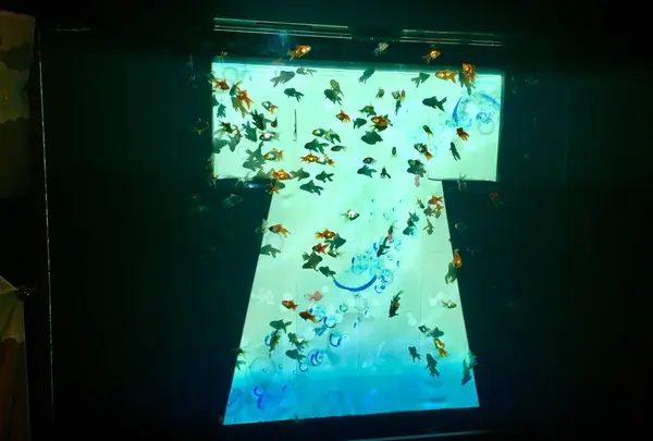 【閉業】アートアクアリウムの写真・動画_image_671790