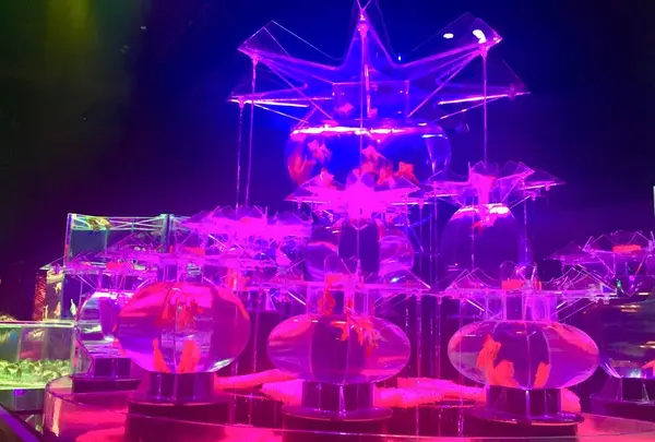 【閉業】アートアクアリウムの写真・動画_image_671792