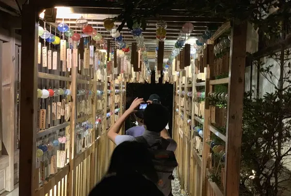 川越氷川神社の写真・動画_image_672898