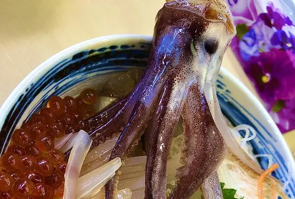 一花亭 たびじの写真・動画_image_672942