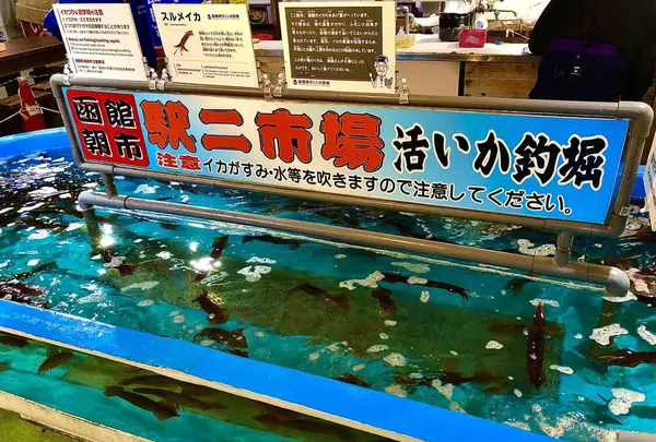 函館朝市の写真・動画_image_672943