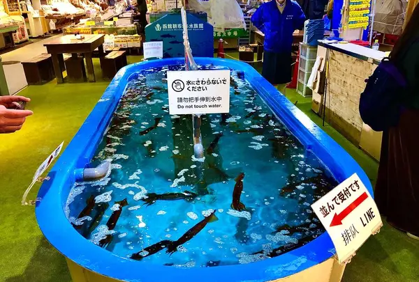 函館朝市の写真・動画_image_672944