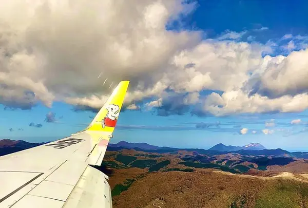 函館空港の写真・動画_image_672965