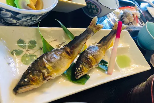 御食事処 音吉の写真・動画_image_672990