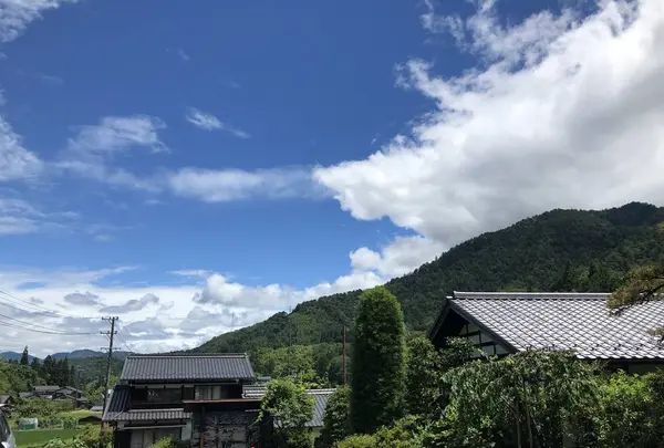 御食事処 音吉の写真・動画_image_672993