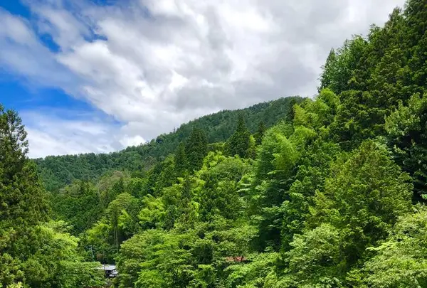 御食事処 音吉の写真・動画_image_672995