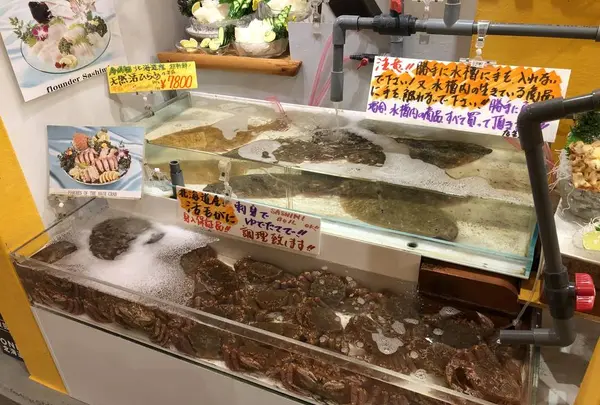 うろこ番屋の写真・動画_image_673010