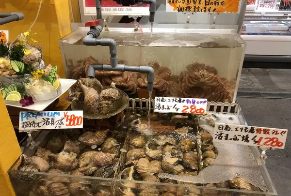 うろこ番屋の写真・動画_image_673011