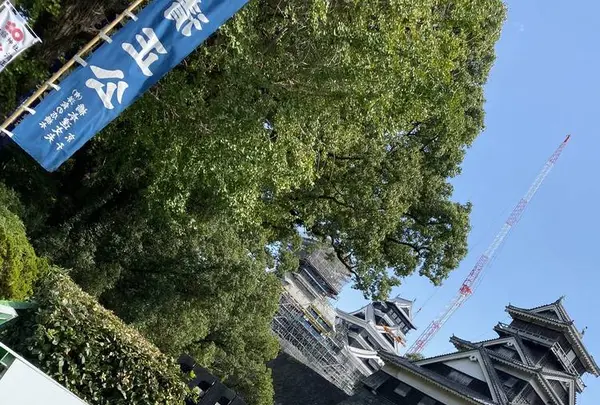 熊本城の写真・動画_image_673314