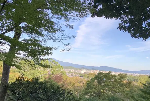 常寂光寺の写真・動画_image_674929