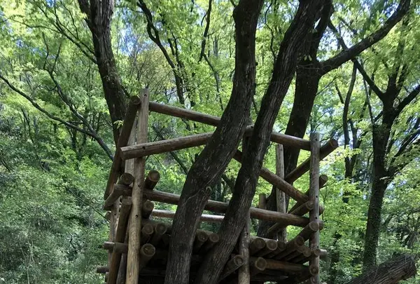 トーベ・ヤンソンあけぼの子どもの森公園の写真・動画_image_675827