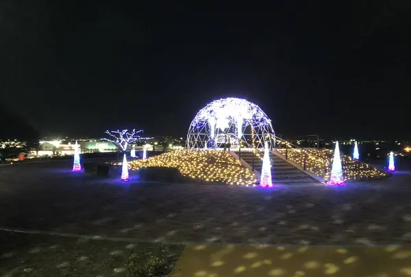 マリーゴールドの丘の写真・動画_image_676333