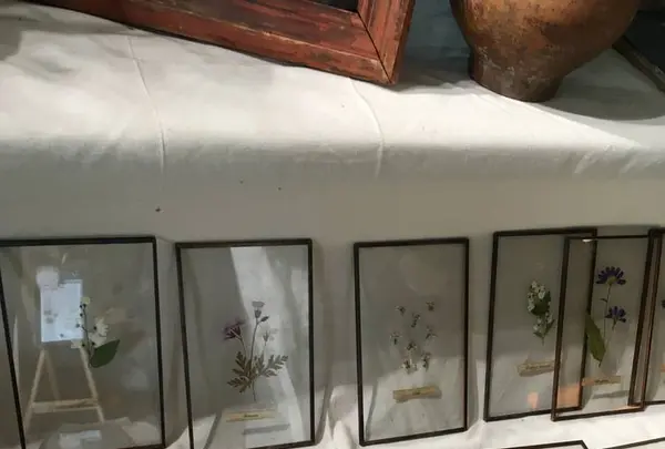 虎ノ門ヒルズ森タワーの写真・動画_image_676495