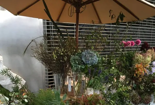 虎ノ門ヒルズ森タワーの写真・動画_image_676498