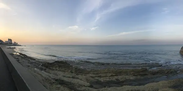 しぼりや旅館の写真・動画_image_677392