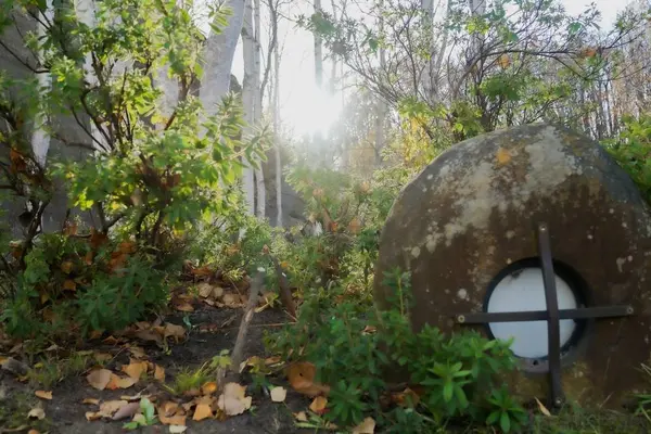 石山緑地の写真・動画_image_677455