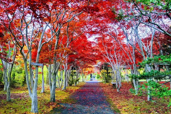 平岡樹芸センターの写真・動画_image_677461