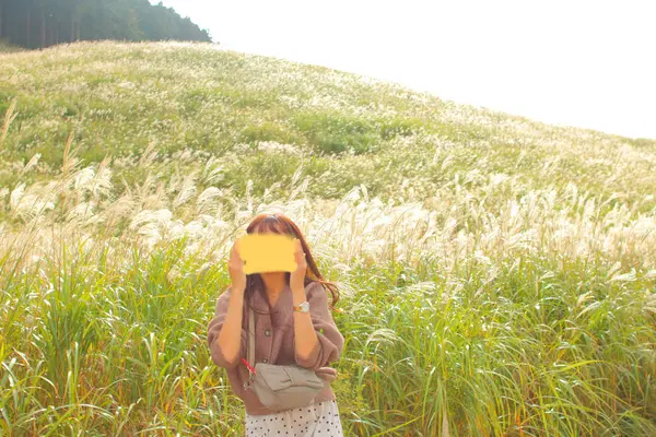 仙石原湿原植物群落の写真・動画_image_678272