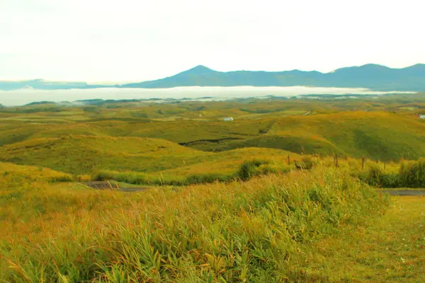 大観峰の写真・動画_image_678294