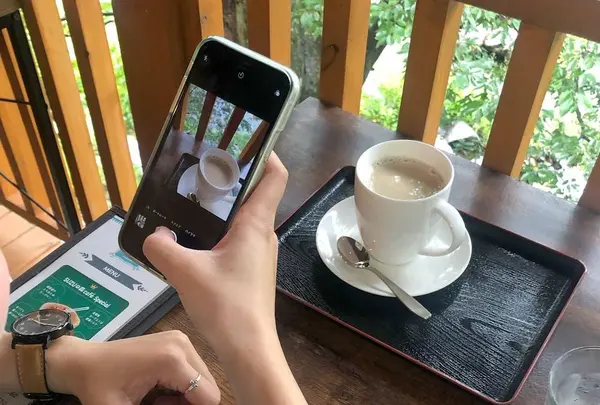 SUZUの森caféの写真・動画_image_678347