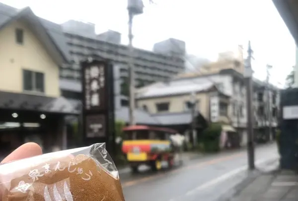 塩原温泉の写真・動画_image_678352