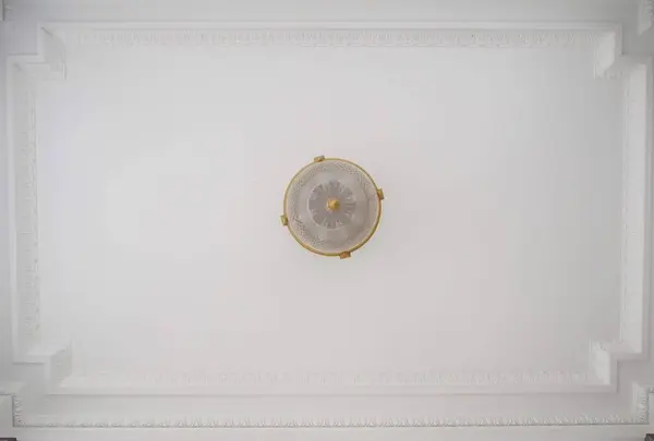 迎賓館赤坂離宮 (Akasaka Palace)の写真・動画_image_678376