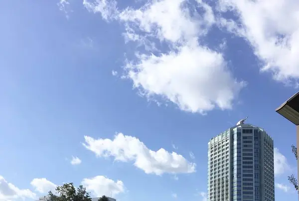 芝公園の写真・動画_image_678574