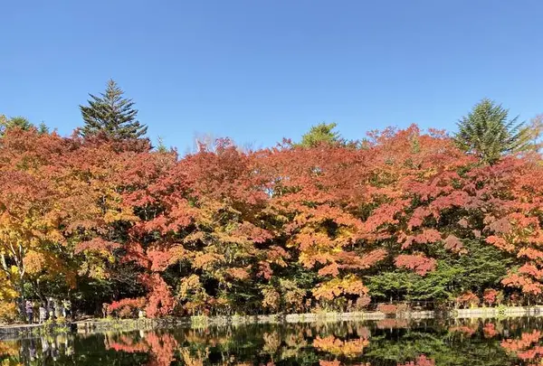 雲場池の写真・動画_image_679358
