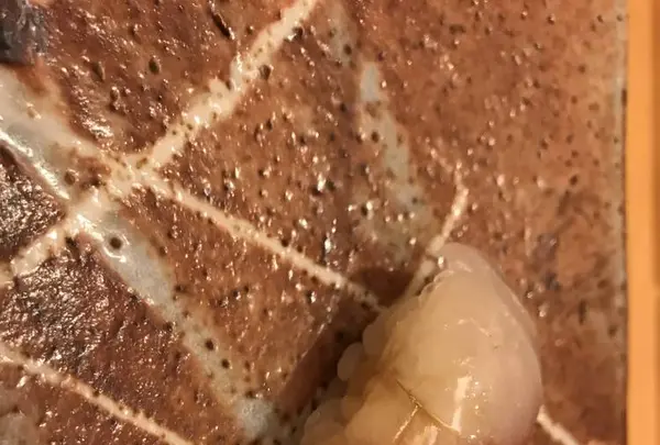 Okudaの写真・動画_image_679388