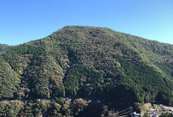 谷瀬の吊り橋の写真・動画_image_680003