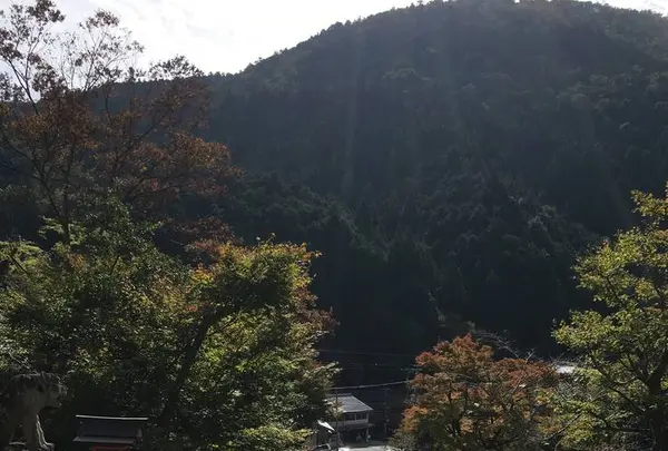 鞍馬寺の写真・動画_image_680559