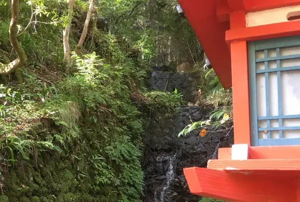 鞍馬寺の写真・動画_image_680561