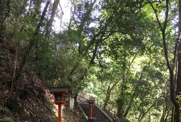 鞍馬寺の写真・動画_image_680562