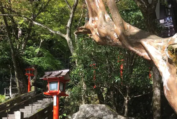 鞍馬寺の写真・動画_image_680566