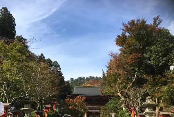 鞍馬寺の写真・動画_image_680567