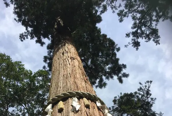 鞍馬寺の写真・動画_image_680570