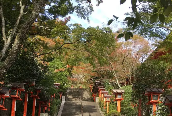 鞍馬寺の写真・動画_image_680571