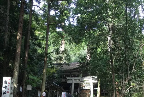 鞍馬寺の写真・動画_image_680573