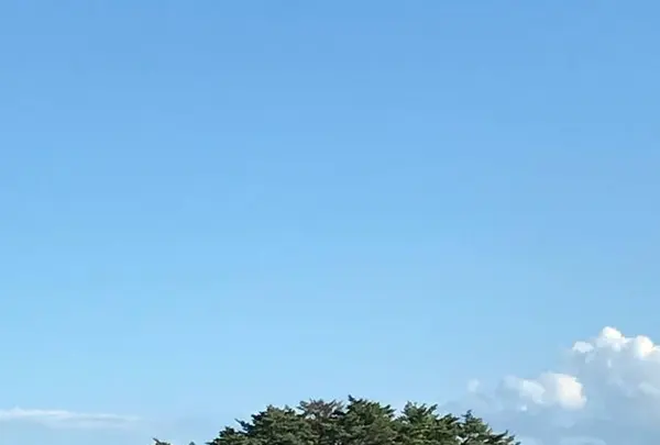 松島の写真・動画_image_680740