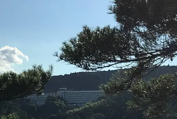 松島の写真・動画_image_680742