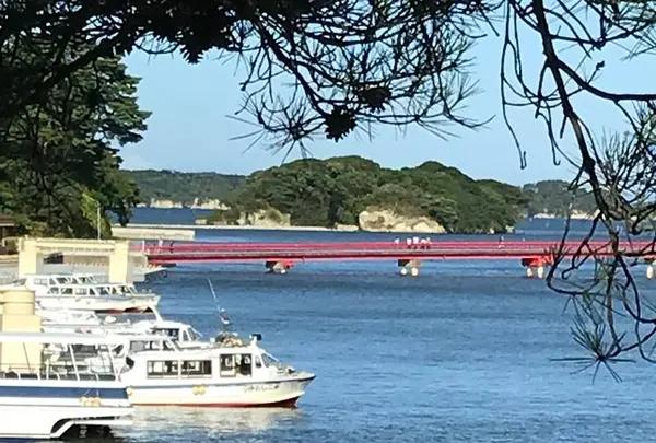 松島の写真・動画_image_680743