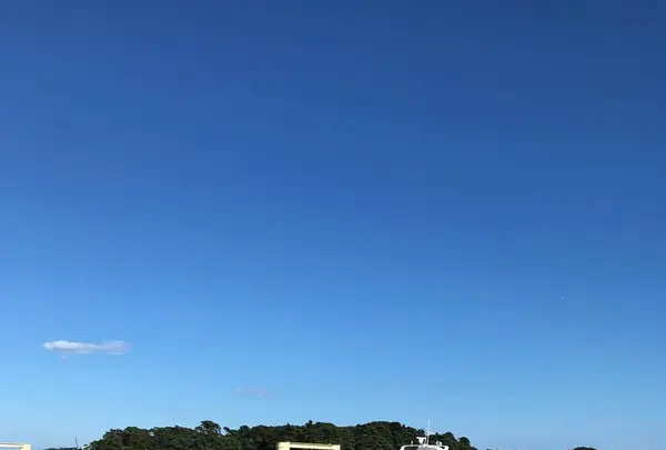 松島の写真・動画_image_680746