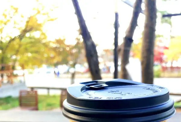 Hammock Cafe（ハンモックカフェ）の写真・動画_image_681179