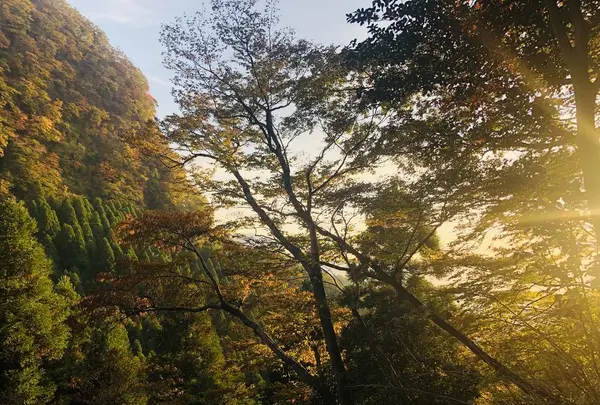 上色見熊野座神社の写真・動画_image_682241